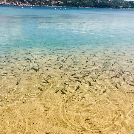 アパート Le Residenze Itaca